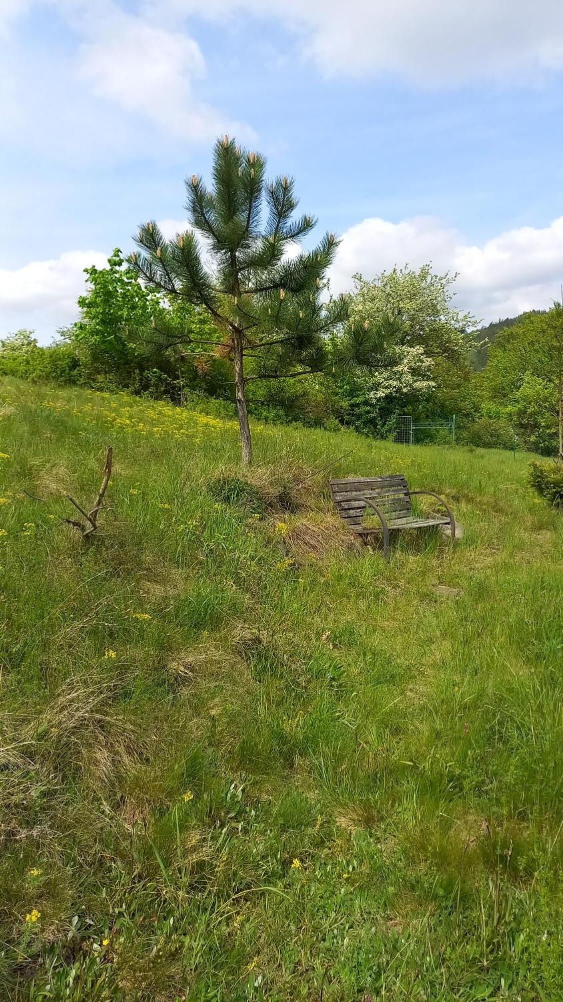 Hotel Formule Perštejn Esterno foto